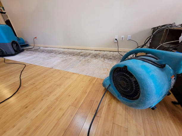 Professional Water Damage Repair technician working in Madera, CA